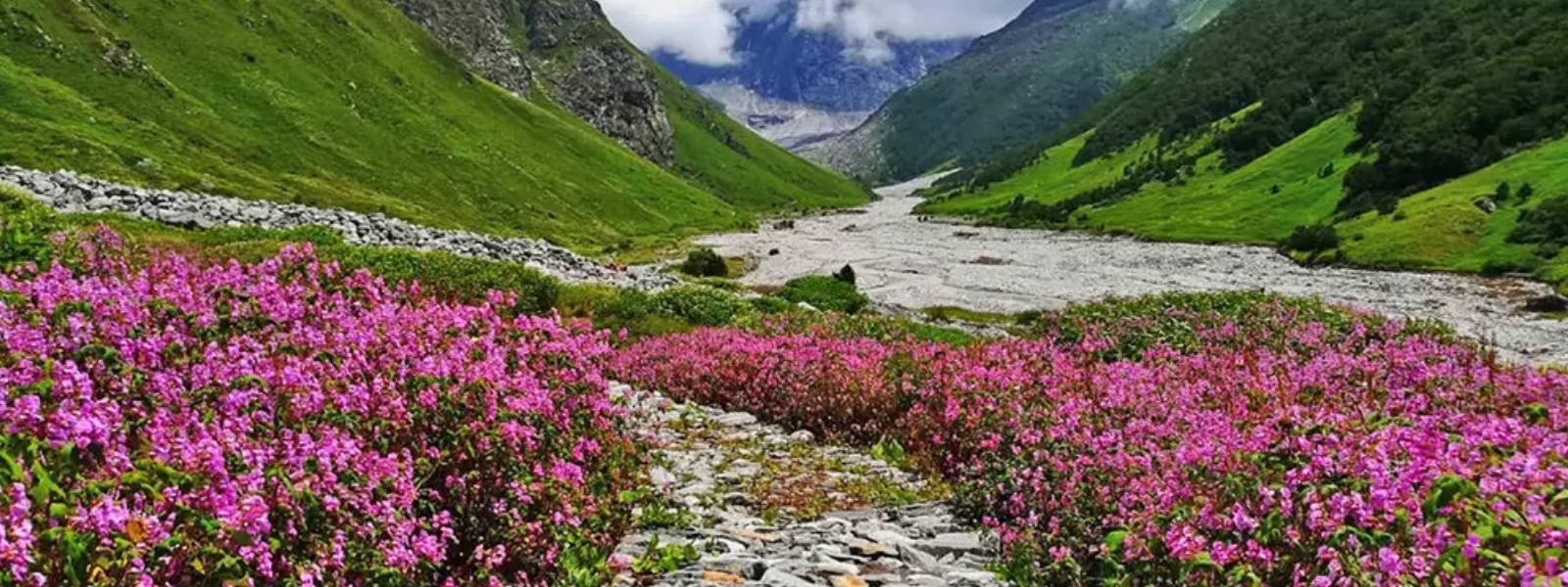 Phoolon Ki Ghati